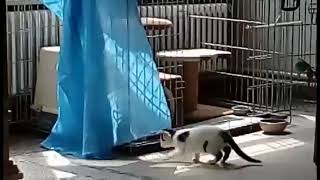 Elly Mama En Lisa Dochter