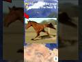 🤯😱🌫️ I Found A Very Strange Horse 🐎 Is The Real 🤯 on google map 🗺️ #shots #datalegend4u