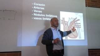 Angiologia Veterinaria - Muñeton Angiologia Veterinaria - Muñeton