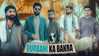 Qurbani ka Bakra | Bakra Eid | Bwp Production
