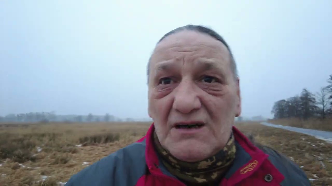 Der Dschungelkönig steht fest , meine Meinung zum Dschungelcamp auf RTL