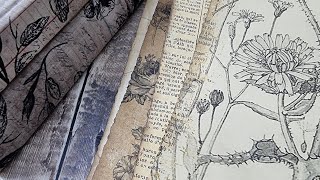 Let's Make a Lapbook - Midnight Meadow - Part 2