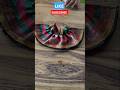 #ladoogopal poshak #trending #shorts
