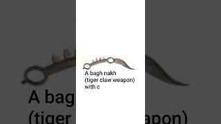 A bagh nakh (tiger claw weapon) with curved blade. India, 19th century