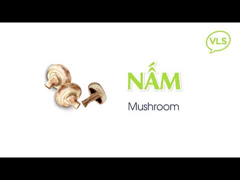 How To Say Mushroom In Vietnamese
