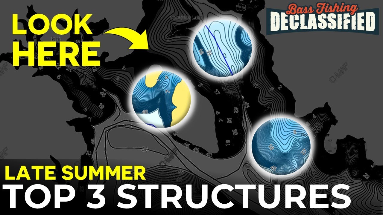 80% of Bass Use These 3 Structures in the Late Summer
