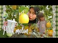 DAILY VLOG || PETIK-PETIK MELON DI THEZAFARM