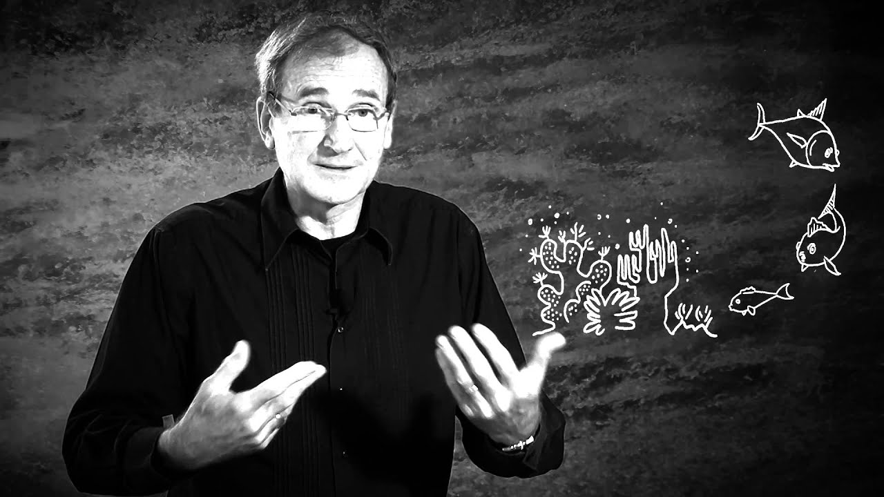 Expert insight - Stéphane La Barre - Coral Reef Food Chains