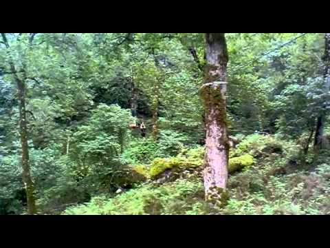 ექსტრემი \"მტირალას ეროვნულ პარკში\"