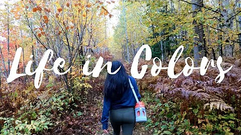 Carlton Peak - Temperance River State Park