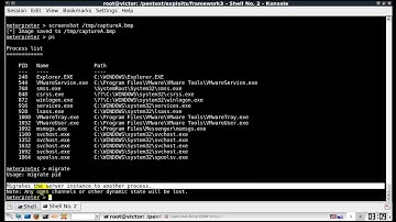 Meterpreter ESPIA Screen Capture