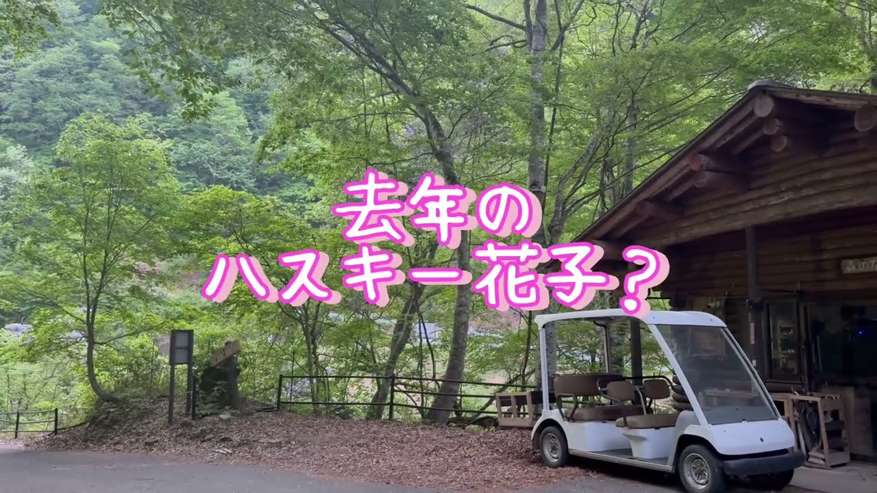20260512 帰ってきた花子と太郎?!