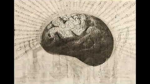 Gideon Botha: AI Spring