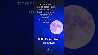 La pleine lune de Wesak, des fleurs, Bouddha, Yeshua, les énergies christique se retrouvent