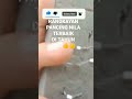 RANGKAIAN PANCING NILA ‼️#shorts TERBAIK ANTI MOCEL ANTI GAGAL||creek fishing adventure