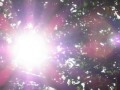 涙そうそう
