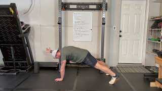 Plank with Diagonal Reach
