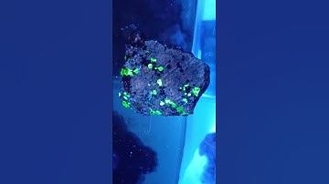 When It Gets Dark At 4PM...Then It