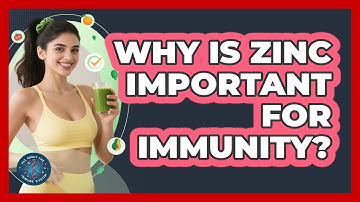 Why Is Zinc Important For Immunity? - All About the Immune System