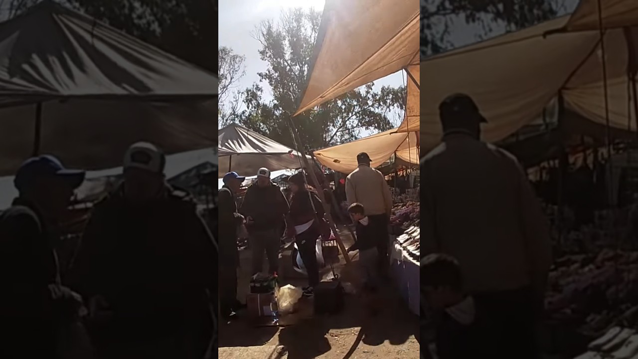 #سوق_سويسرا