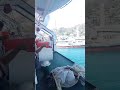 pelahabuan labuan bajo