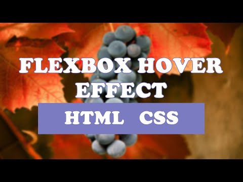 Flexbox Hover  | HTML5 + CSS3 | Web Tasarım |