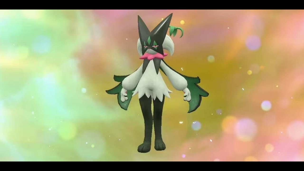 Tricks Abound! UPC S3 vs Amasis