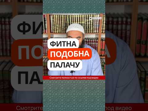 32.12 Фитна подобна палачу #Shorts Ринат Абу Мухаммад