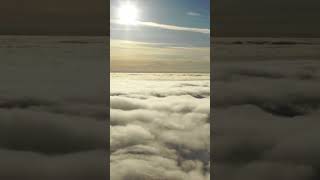 This Music Exists Only to Elevate