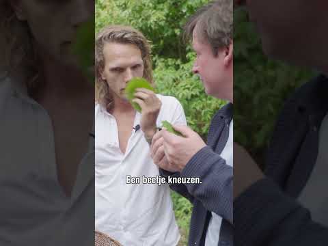 Noem je mij nou een kneus?!