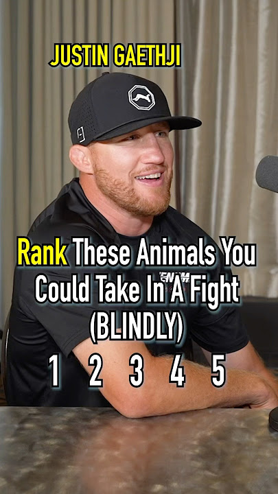 UFC Fighter, Justin Gaethje, Ranks These Animals You Can Take In A Fight! #ranking #fight #animal