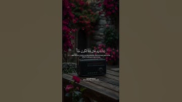 وينزل الغيث ويعلم ما في الأرحام | المنشاوي | سورة لقمان