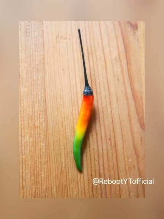 Non-Copyright Perfect Photos #shorts #trending #noncopyright #series334