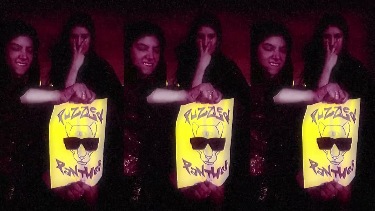 Puzzled Panther – Fake Ass Freedom Fighters