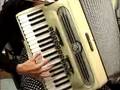 The accordionist