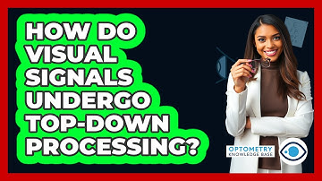 How Do Visual Signals Undergo Top-Down Processing?