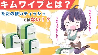 キムワイプおいしい 模型製作の必須アイテム キムワイプ とは Youtube