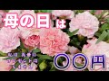 母の日は◯◯円/私は義母にプレゼントはしません