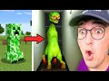 Minecraft Mobs But In Real Life