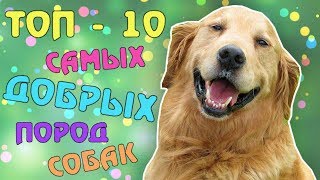 ТОП - 10 САМЫХ ДОБРЫХ ПОРОД СОБАК