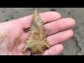 Ohio river valley Arrowhead hunting