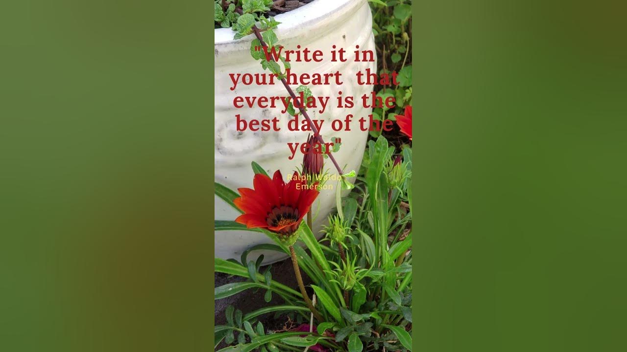 meaningful-quote-about-life-deep-quotes-no-1-youtube