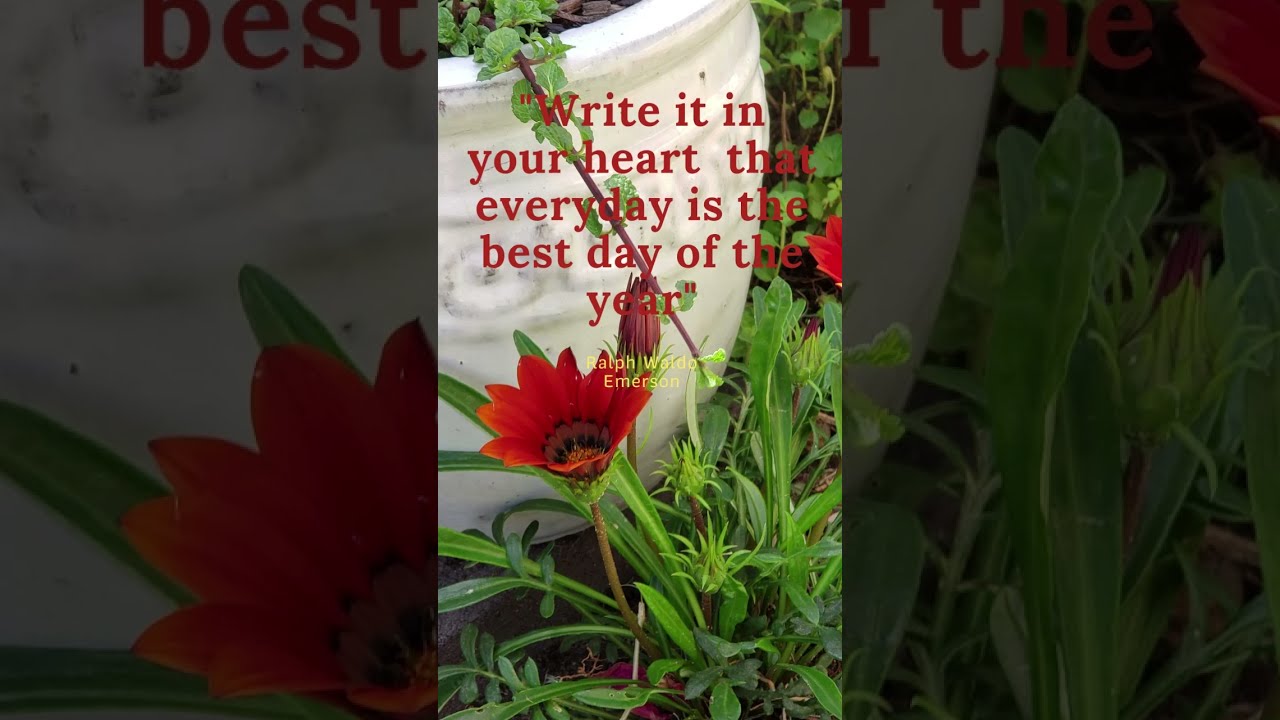 Meaningful Quote About Life Deep Quotes No 1 YouTube Meaningful Quote About Life Deep Quotes No 1 YouTube