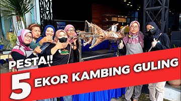 5 EKOR KAMBING GULING SEKALIGUS! || Halal bi Halal Keluarga Besar Bank Jateng