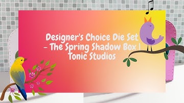 Shadowbox I Designer