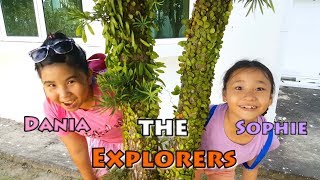 Sophie and Dania The Explorers - Helping Unicorn Get Back Home