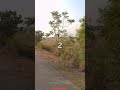 Geo Quiz: Only 1% Get It in Time! | Spot the Dot pt. 1286