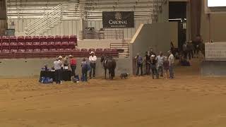 2023 NRHA SE Affiliate Championship Show Friday September 8