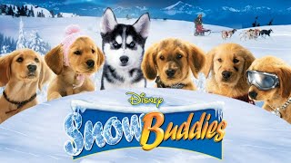 Snow Buddies 2008 Disney Film | Skyler Gisondo, Jimmy Bennett, Josh Flitter, Henry Hodges | Review