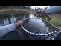 Saved by the Truckee River.....Barely (off HWY 89, CA)